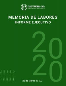 Memoria de Labores 2020